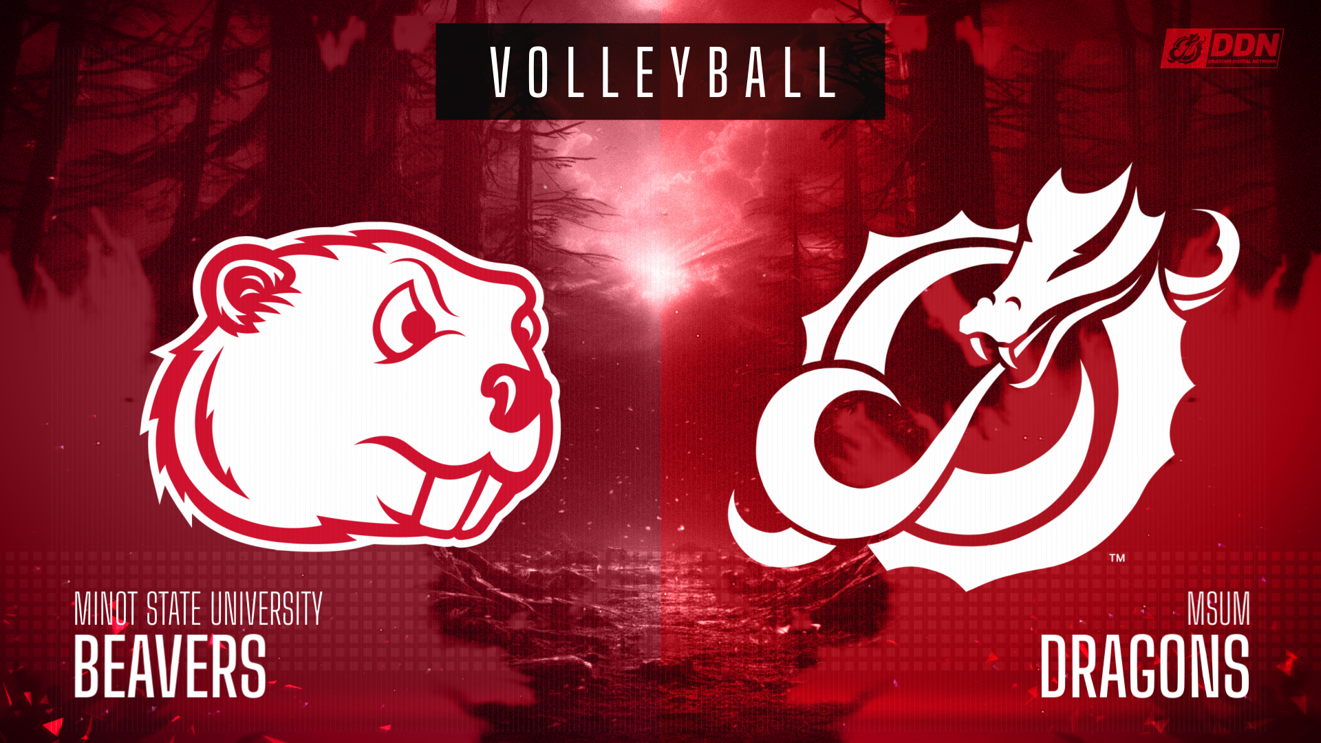 Salute to Service Volleyball Game Salute to Service Volleyball Game