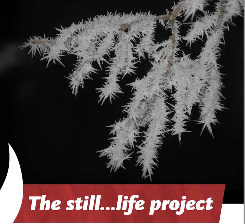 “The Still…Life Project” Performance Tuesday at 7:30pm in Gaede “The Still…Life Project” Performance Tuesday at 7:30pm in Gaede
